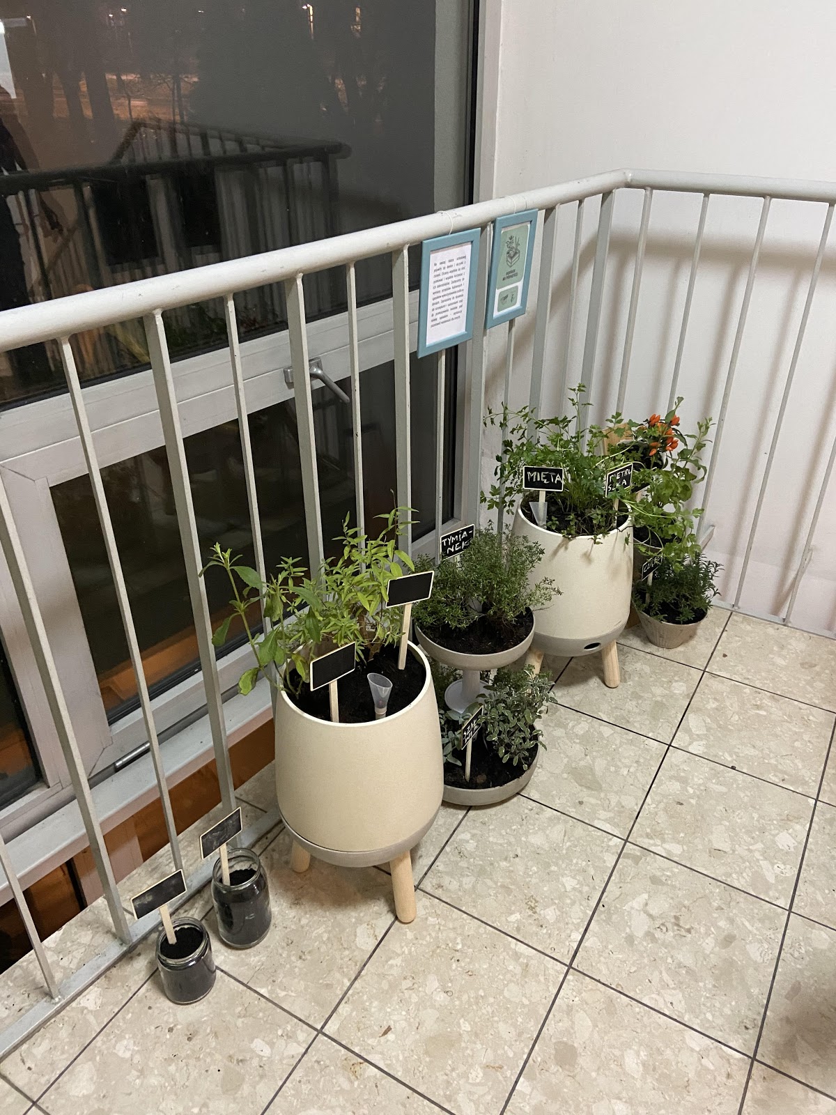 Rośliny stojące na kladce schodowej
