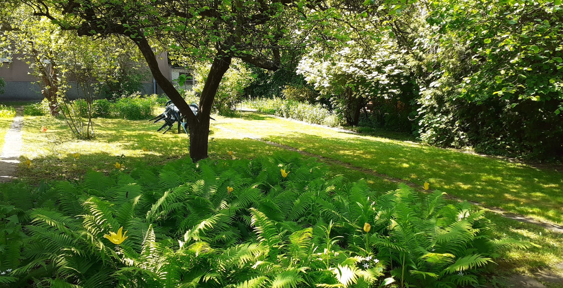 Teren zielony, trwa, paprocie, drzewa. W oddali na trawie stoi plastikowy stół i krzesła.