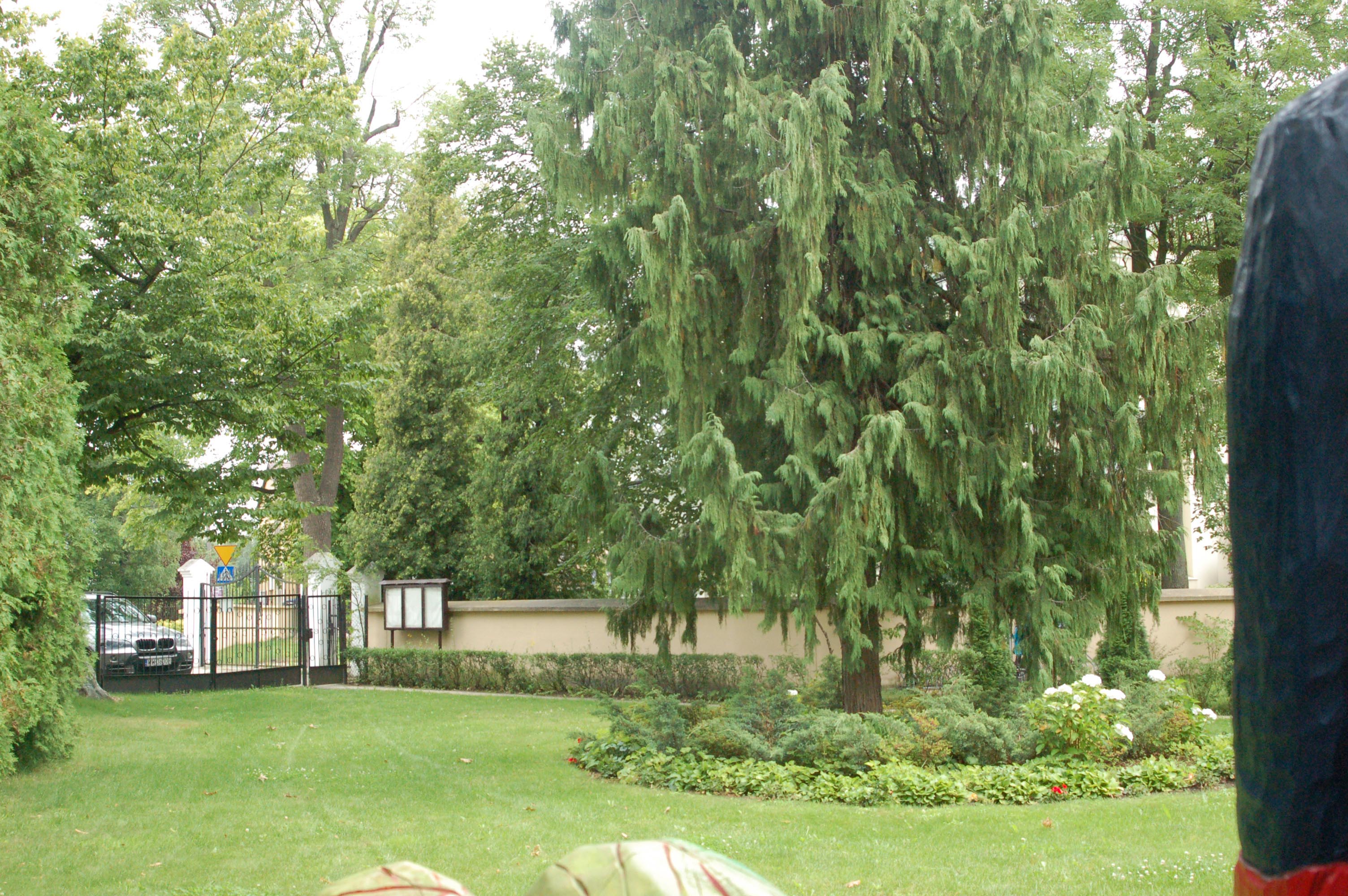 Zdjęcie zadbanego ogrodu z dużą ilością trawy, klombem i dużym drzewem.