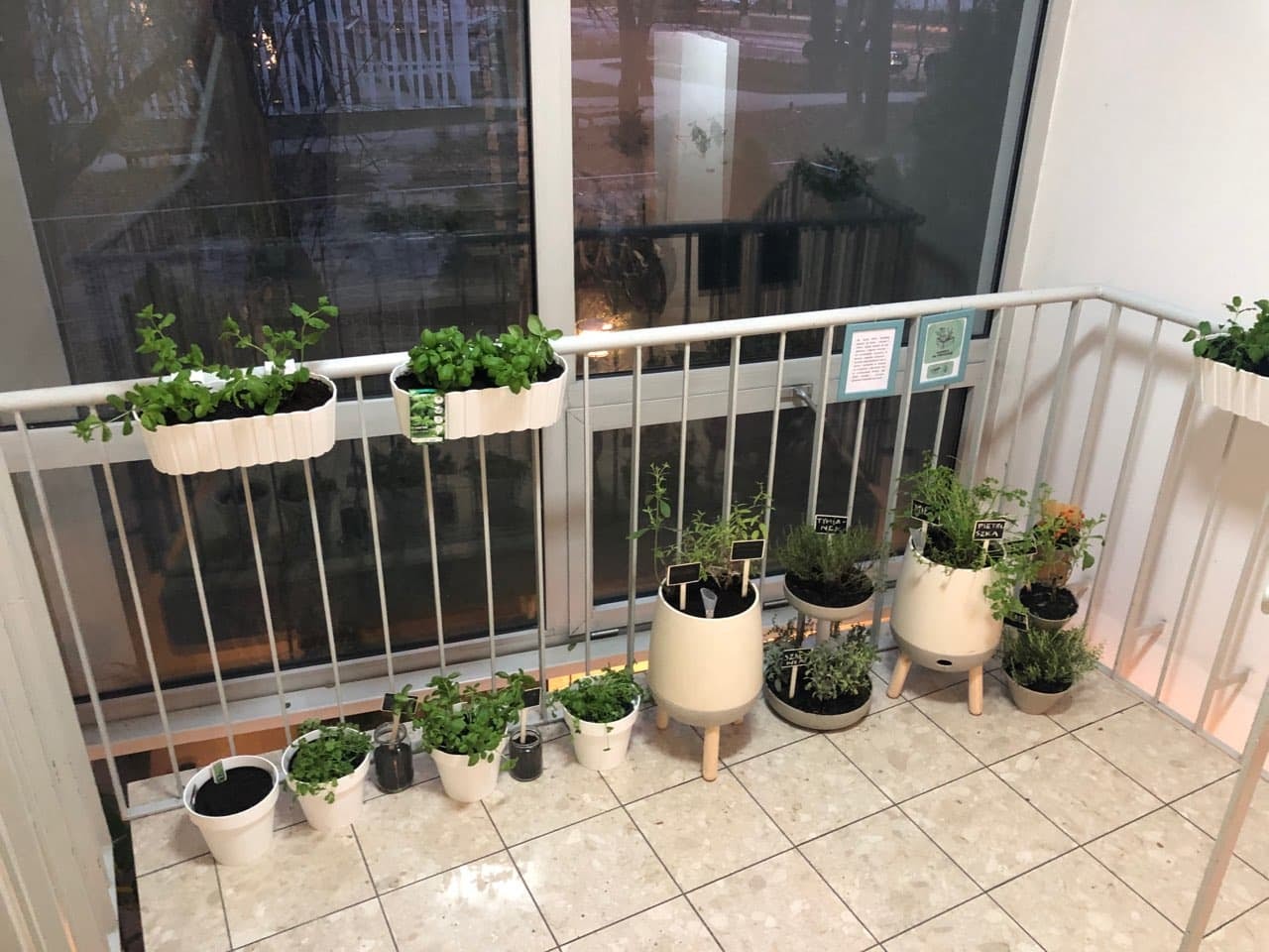 Rośliny w doniczkach stojące na klatce schodowej