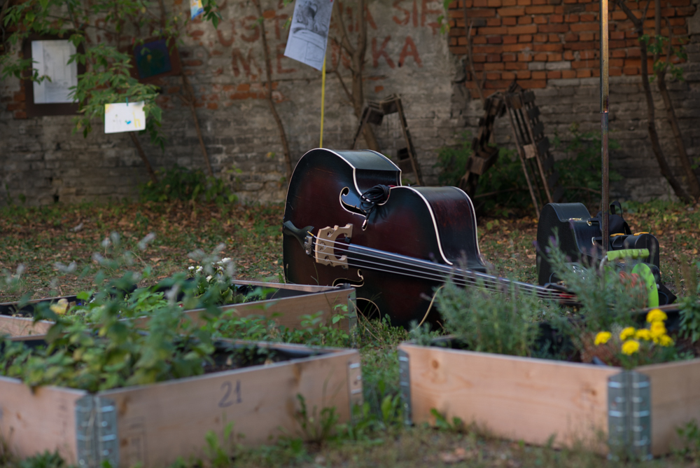 Zdjecie instrumentu muzycznego położonego pomiędzy grządkami w ogrodzie sąsiedzkim.